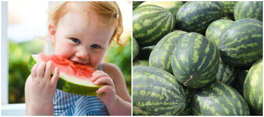 Vedeli ste, že aj šupka z melóna má v sebe množstvo vitamínov?