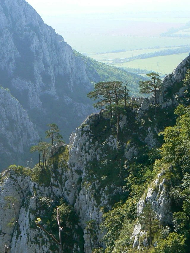 Tiesňava.